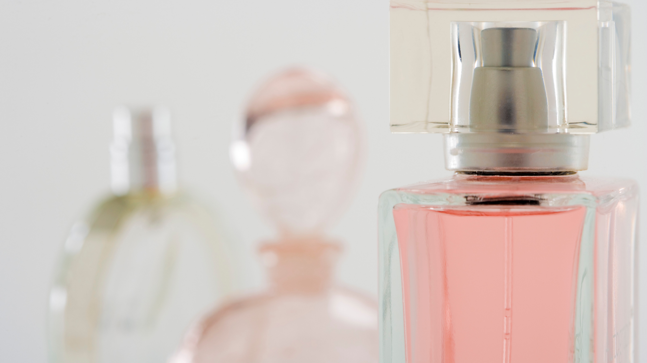 No.5 Fragrances & Perfumes - End Of Summer Sale - Jomashop