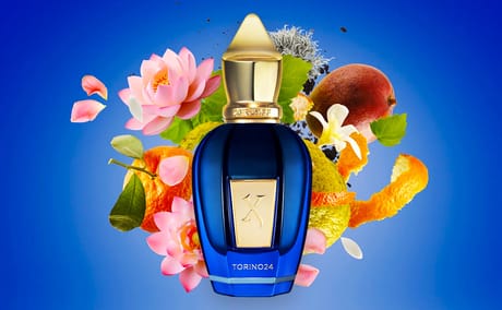 Perfumes That Feel Grown, Polished, and Intentional