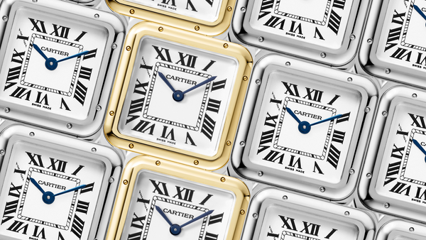 Why Ladies Love the Cartier Panthère